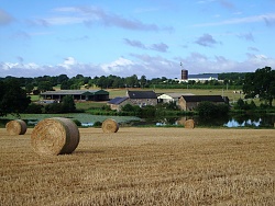 Activit� agricole : Plouasne &copy;