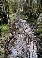 Cours d'eau 3 