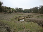 Pleurtuit 