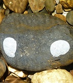 Photo Espagne1 ©CLE RFBB 2012