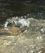 Photo Espagne2 ©CLE RFBB 2012