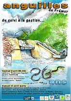 20anguilles 